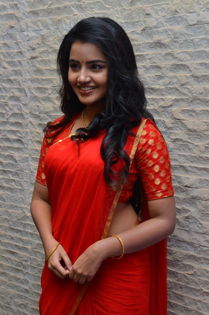 Anupama-Parameswaran-at-Shatamanam-Bhavati-Movie-Success-Meet